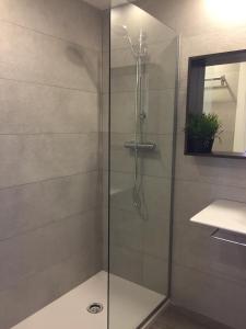 eine Dusche mit Glastür im Bad in der Unterkunft Unique Apartments in Hospitalet de Llobregat