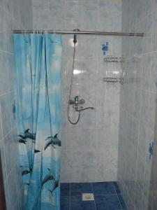 a bathroom with a shower with dolphins painted on it at Flamingo Hotel in Karakol