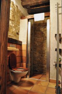 a bathroom with a toilet in a room at Penzión Tokaj Ostrožovič in Veľká Tŕňa