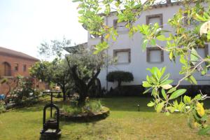 A garden outside AT SAN MIGUEL o