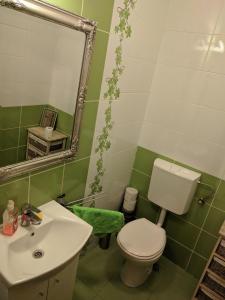 a green bathroom with a toilet and a sink at VINYL House. A quiet street in the centre of city in Târgu-Mureş