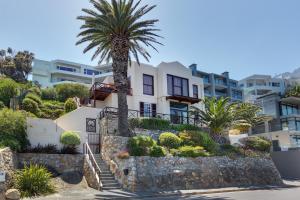 a palm tree in front of a building at Camps Bay Terrace Palm Suite in Cape Town