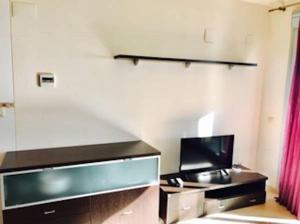 A television and/or entertainment centre at Apartamentos Deluxe Pompeya 5