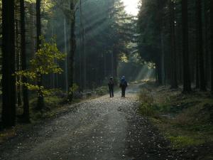 dos personas caminando por un camino de tierra en un bosque en Zimmervermietung-Heide-Fiege en Hartmannsdorf