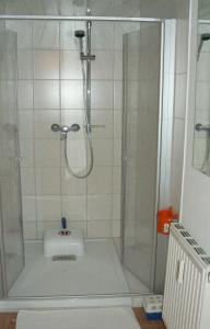 a shower with a glass door in a bathroom at Zimmervermietung-Heide-Fiege in Hartmannsdorf