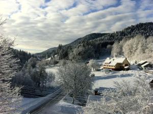 Ferienwohnung-Jungbauernhof през зимата