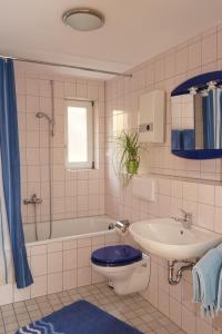 ein Badezimmer mit einem WC, einem Waschbecken und einer Badewanne in der Unterkunft Ferienwohnung Jungbauernhof in Alpirsbach