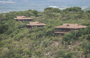 three cottages on top of a hill with trees at Kariega Game Reserve Main Lodge in Kenton on Sea