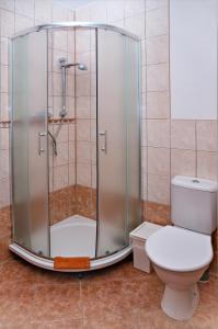 a shower stall in a bathroom with a toilet at Penzion Pulčínské Skály in Pulčín