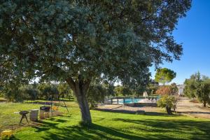Bazén v ubytovaní Recreo San Andrés alebo v jeho blízkosti