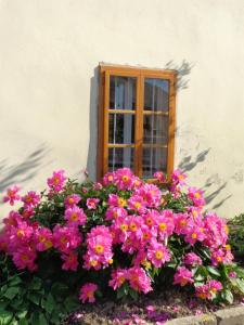 Giardino di Sobodajalstvo Obal