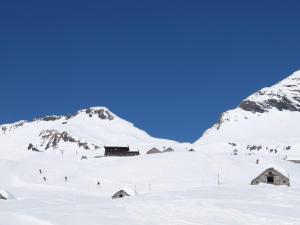 Walser App.31 Pozzi talvel