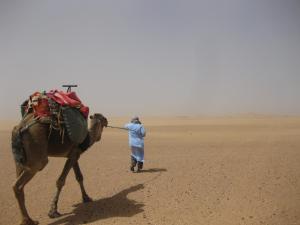 Gestir sem dvelja á Hotel Carrefour des Nomades