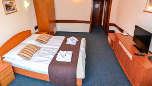 Televízia a/alebo spoločenská miestnosť v ubytovaní Garni Hotel Tatramonti