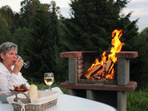 a man drinking a glass of wine in front of a fireplace at Snarf in Jilemnice