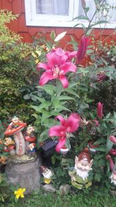 Afbeelding uit fotogalerij van Cabanas Klenner in Puerto Varas