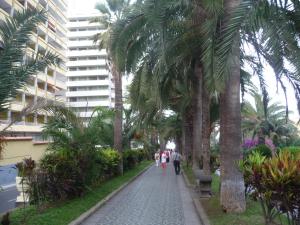 Zahrada ubytování Martianez