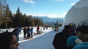 Gäste, die in der Unterkunft Apartmán B 101 Vysoké Tatry übernachten