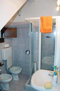 ein Bad mit einem WC, einem Waschbecken und einer Dusche in der Unterkunft Agriturismo capanna delle Cozzole in Castellina in Chianti