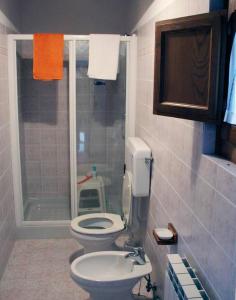 y baño con aseo, lavabo y ducha. en Agriturismo capanna delle Cozzole en Castellina in Chianti