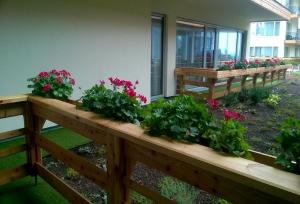 Ein Garten an der Unterkunft Apartmán B 101 Vysoké Tatry