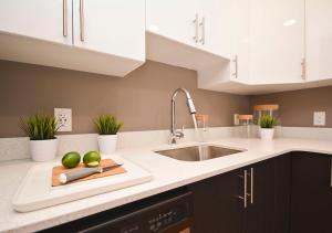 - une cuisine avec un évier et une planche à découper avec des chaux dans l'établissement LIV Extended Stay, à Ottawa