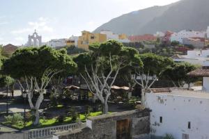 Blick auf eine Stadt mit Bäumen und Gebäuden in der Unterkunft Trevejo Hostel in Garachico