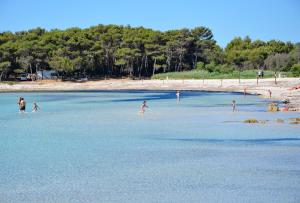 un gruppo di persone che giocano in acqua in spiaggia di Apartments Buturi a Soline