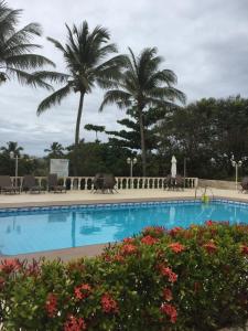 a swimming pool with palm trees in the background at Linda casa na Praia do Flamengo in Salvador