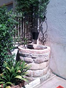 a cat sitting in a stone planter in a garden at Il Pozzo in Rome