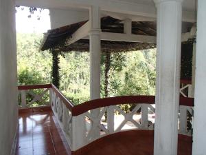 eine Treppe in einem Haus mit Waldblick in der Unterkunft Coorg 4 C's Little Paradise in Madikeri
