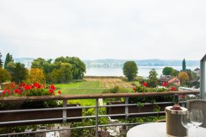 ライヒェナウにあるInsel-Hof Reichenau Hotel-garniの- 水辺の景色を望むバルコニー