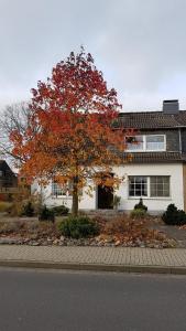 un árbol con hojas rojas delante de una casa en Casa del Sol, en Kleve