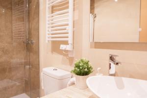 Kúpeľňa v ubytovaní Apartamentos Boutique Salamanca