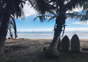 Foto de la galería de Coral Reef Surf Hostel and Camp en Tamarindo