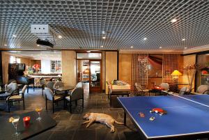 a room with a pool table and a dog laying on the floor at Carlit in Font-Romeu