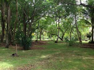 un parque con muchos árboles y césped verde en Miraflores Boutique Hotel Adults Only, en San Andrés