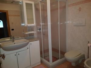 a bathroom with a shower and a sink and a toilet at Cèsa Chri e Sofì in Campitello di Fassa