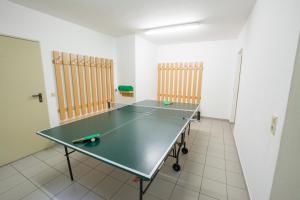 Lauatennis majutusasutuses Jugendgästehaus Ulrichsberg või selle läheduses