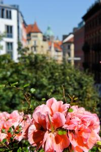 Fotografie z fotogalerie ubytování Hotel Isartor v Mnichově