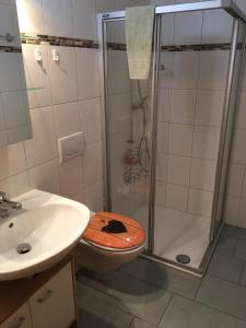 a bathroom with a shower with a toilet and a sink at Haus Melodie in Wiler