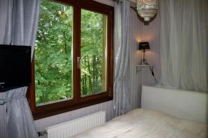 ein Schlafzimmer mit Fenster, Bett und Fernseher in der Unterkunft Le Cap Vert in Rochehaut