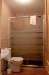 コト・リオスにあるAlojamiento aguasblanquillasのバスルーム(シャワー、トイレ、洗面台付)