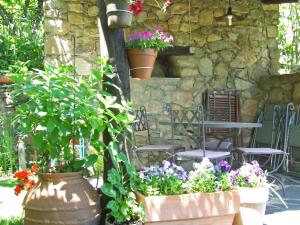 Zahrada ubytování Casas rurales Caño Chico y La Fuente