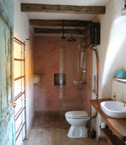 a bathroom with a toilet and a sink at Bolara 60: the Cottage in Grožnjan