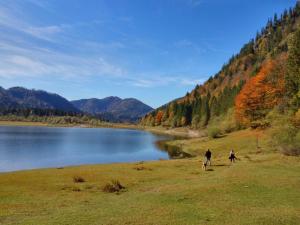 Foto dalla galleria di Speckhaus Ferienwohnungen a Ruhpolding