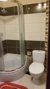 een badkamer met een toilet en een douche bij Przystań Wodna Brody in Styków