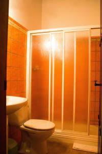 uma casa de banho com um chuveiro, um WC e um lavatório. em Hostal Restaurante Sierra De La Martina em Charilla