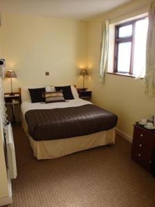 a bedroom with a large bed and a window at Wards Hotel in Galway