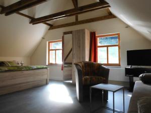a living room with a bed and a chair at Die Oberlochmühle PENSION in Deutschneudorf